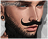 Long Beard+Moustache