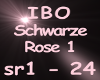 IBO Schrarze Rose Part1