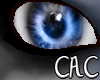 [C.A.C] Pandue Ma Eyes