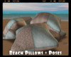 *Beach Pillows + Poses