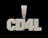 RI - CUSTOMS - CD4L M