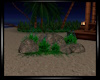 Night Beach Rocks