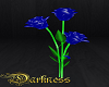 Roses Flowers Blue