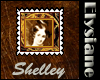 {E} SP Hero Mary Shelley