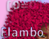 [0=0]Flambo Amma