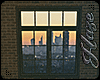 [IH] City Window