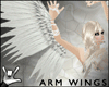 !aMe! Bird ARMwings*WT