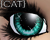 {CAT}Fragile-Teal Eyes