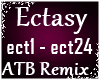 Ectasy House Remix
