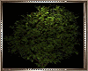 𝓼e| Tree Wall