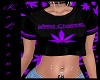 Weed Channel Purple