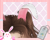 Ears | Bunny BB-8 Girls