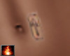 HF Brand Belly Warrior