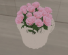 Basket Roses
