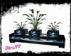 Winter Surprise Plant v2