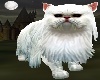 ]A[ B.LongHair Guard