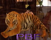 PBF*Live Tiger 2 single