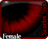 (Ss) Sanguinea Love -F