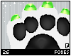 Vero | paws F