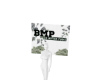 BMP NEW FLAG