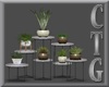 CTG BEL AIR PLANT STAND
