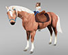A~Palomino Pony Ride 40%