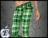 EDJ Green Plaid Pants