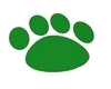 D~ Green Paw Rug