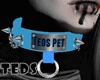 Custom Collar