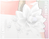 ❄ White Hip Flower L.