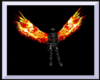 [A]Wing's fire
