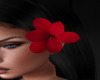Jill Flower Red