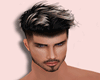 Dark Blonde Hair