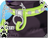 [Pets]ChainCollar | lime