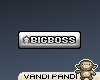 [VP] BIGBOSS in silver