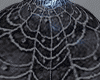 spiders. LLX