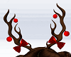 Christmas Deer
