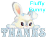 Fluffy Bunny Thanks