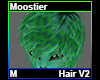 Moostier Hair M V2