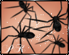 Pk-Spiders Halloween