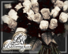 Black Blood Ivory Roses