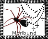 Animated Wall Spider
