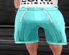 Simple shorts Teal