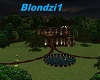 Night Bronze Home