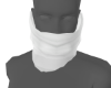 Mission Mask