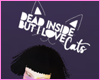 But I love Cats e