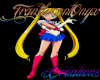 (T)Sailor Moon Wall