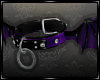 " Bat Collar Violet