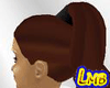 long dark brown ponytail