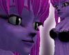 Enhanced Purple Cat